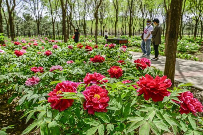 -2：三大+书市+特色小镇打卡文旅新地标J9真人游戏第一品牌120小时玩转副中心(图3)