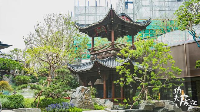 芯“超配”产品总价150万起！j9国际首日登记已破百！禅桂(图34)